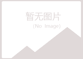 周村区曼山建设有限公司